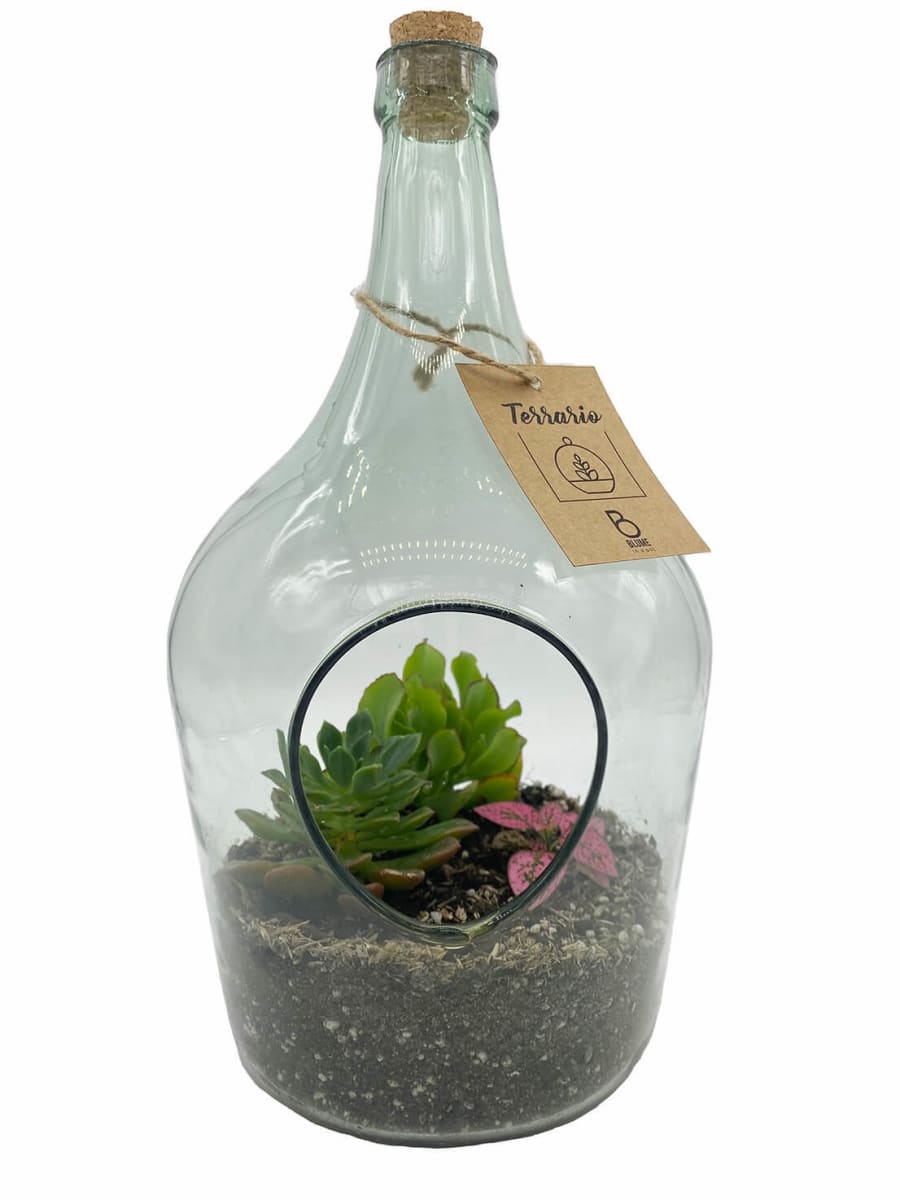 Terrario en botella mediana1