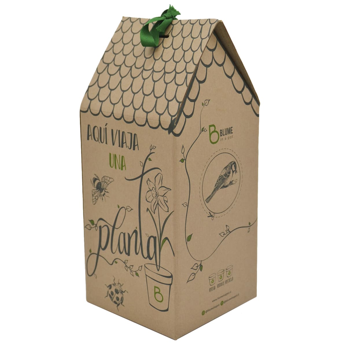 Caja para regalo1