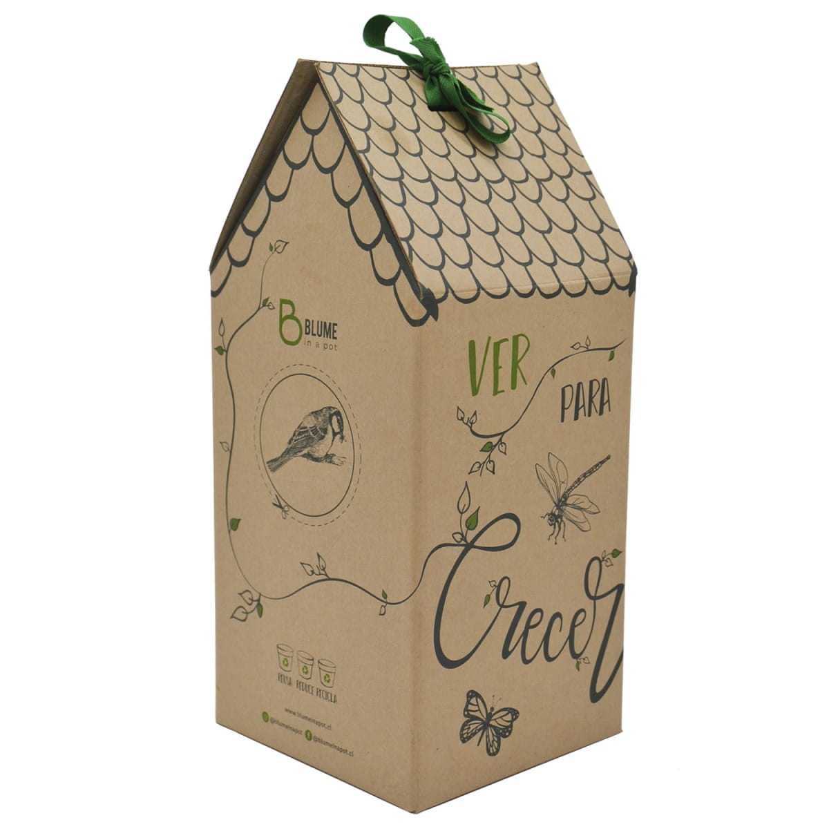 Caja para regalo2