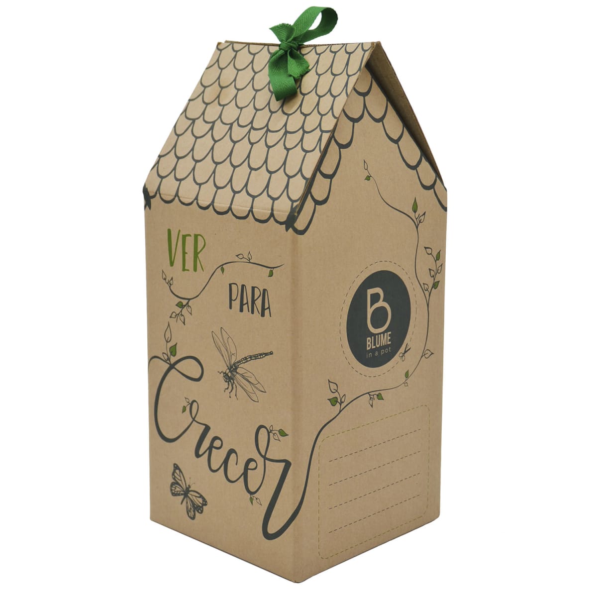 Caja para regalo3