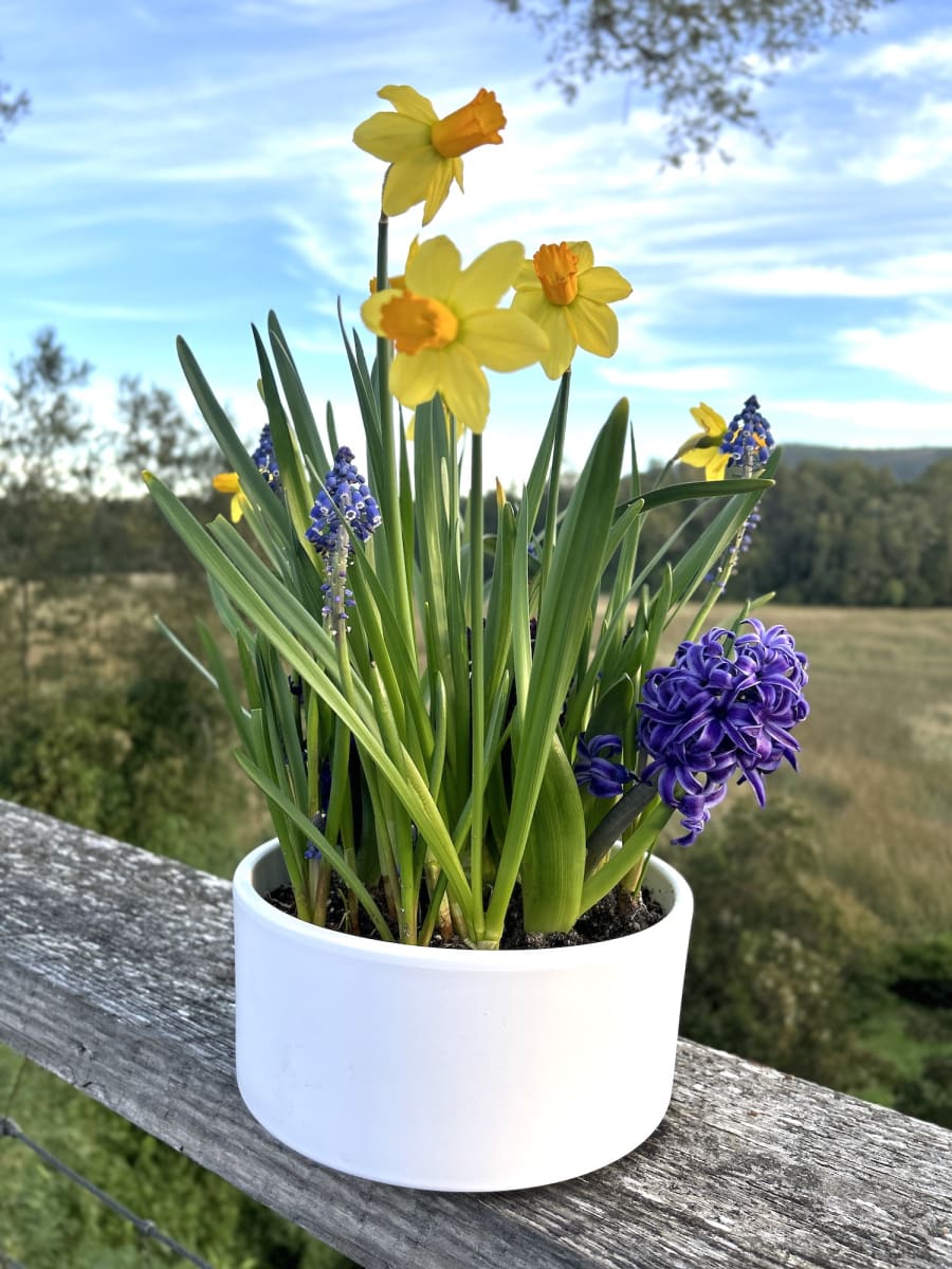 Cerámica mediana mix flores3