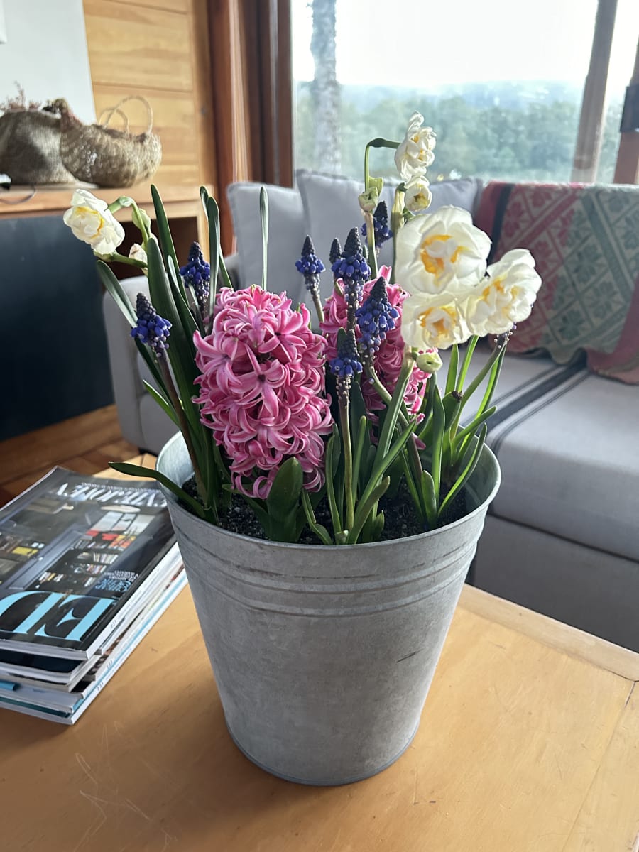 Laton grande mix flores10