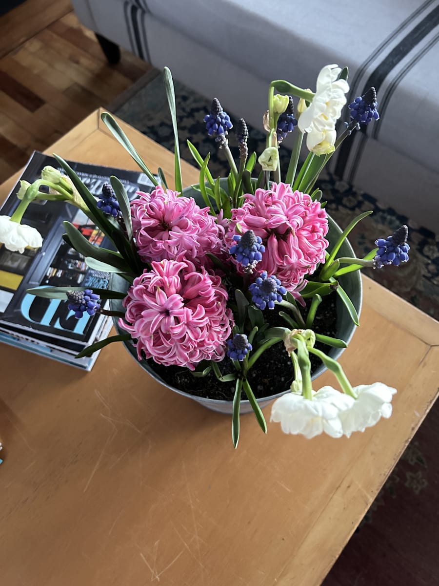 Laton grande mix flores11