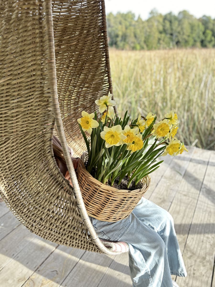 Canasto grande con narcisos7