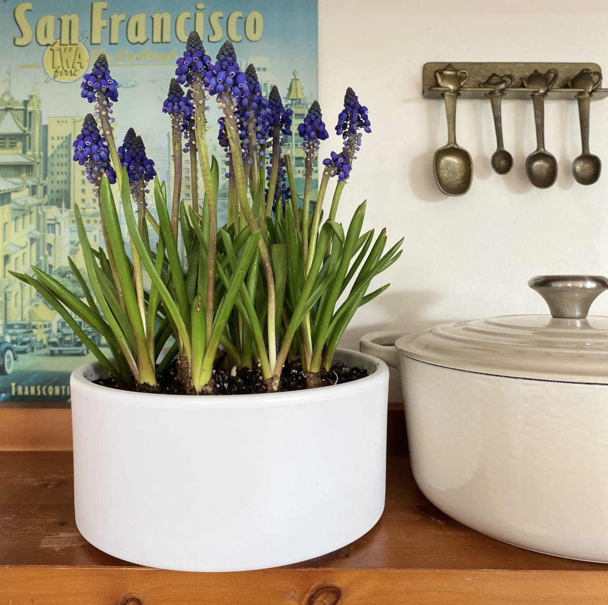 Cerámica mediana con muscari azul2