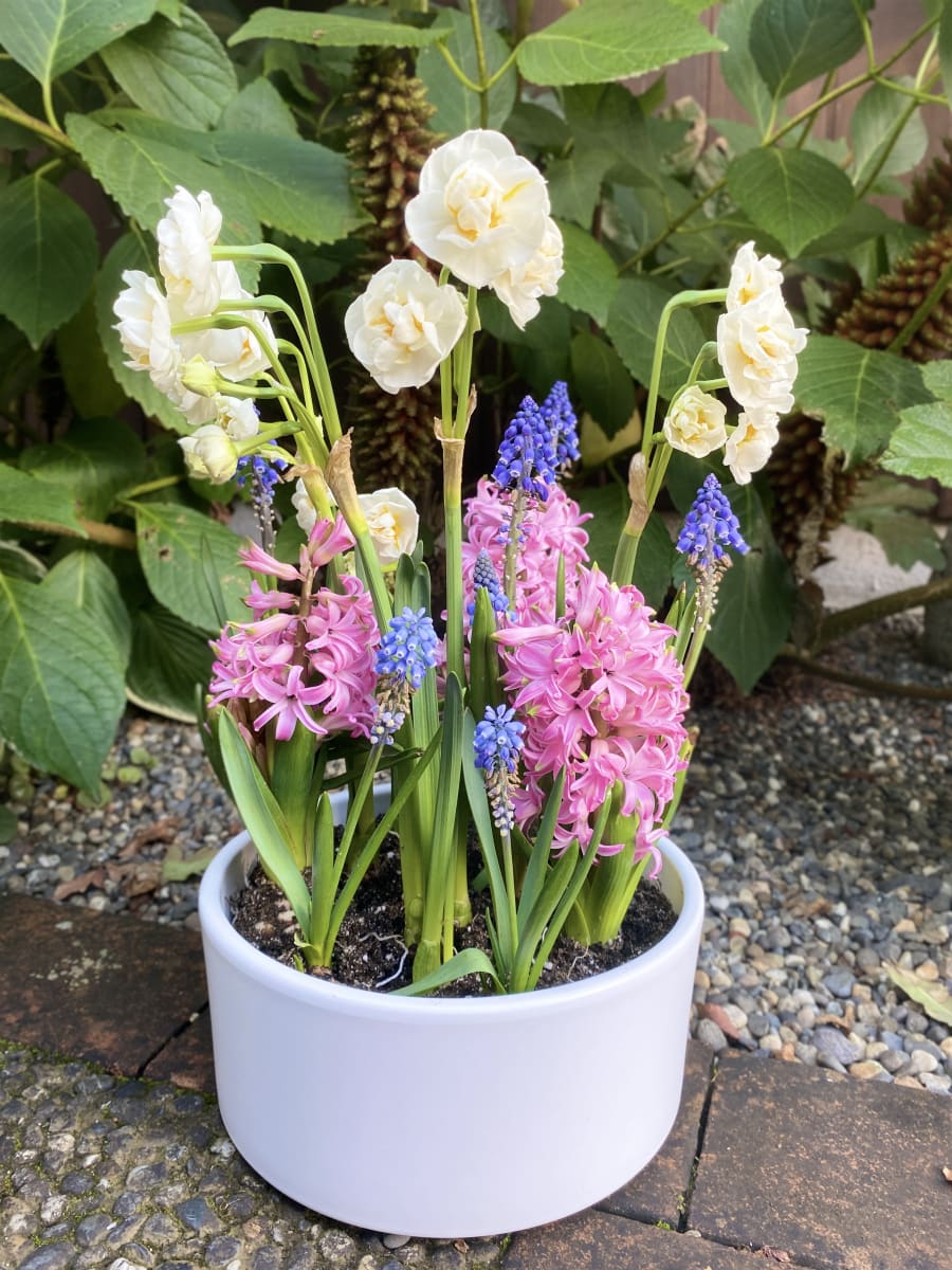 Cerámica mediana mix flores5