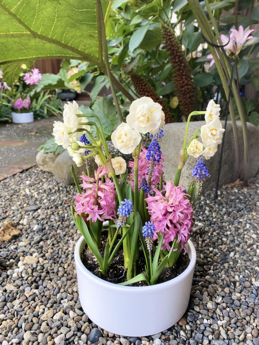 Cerámica mediana mix flores4