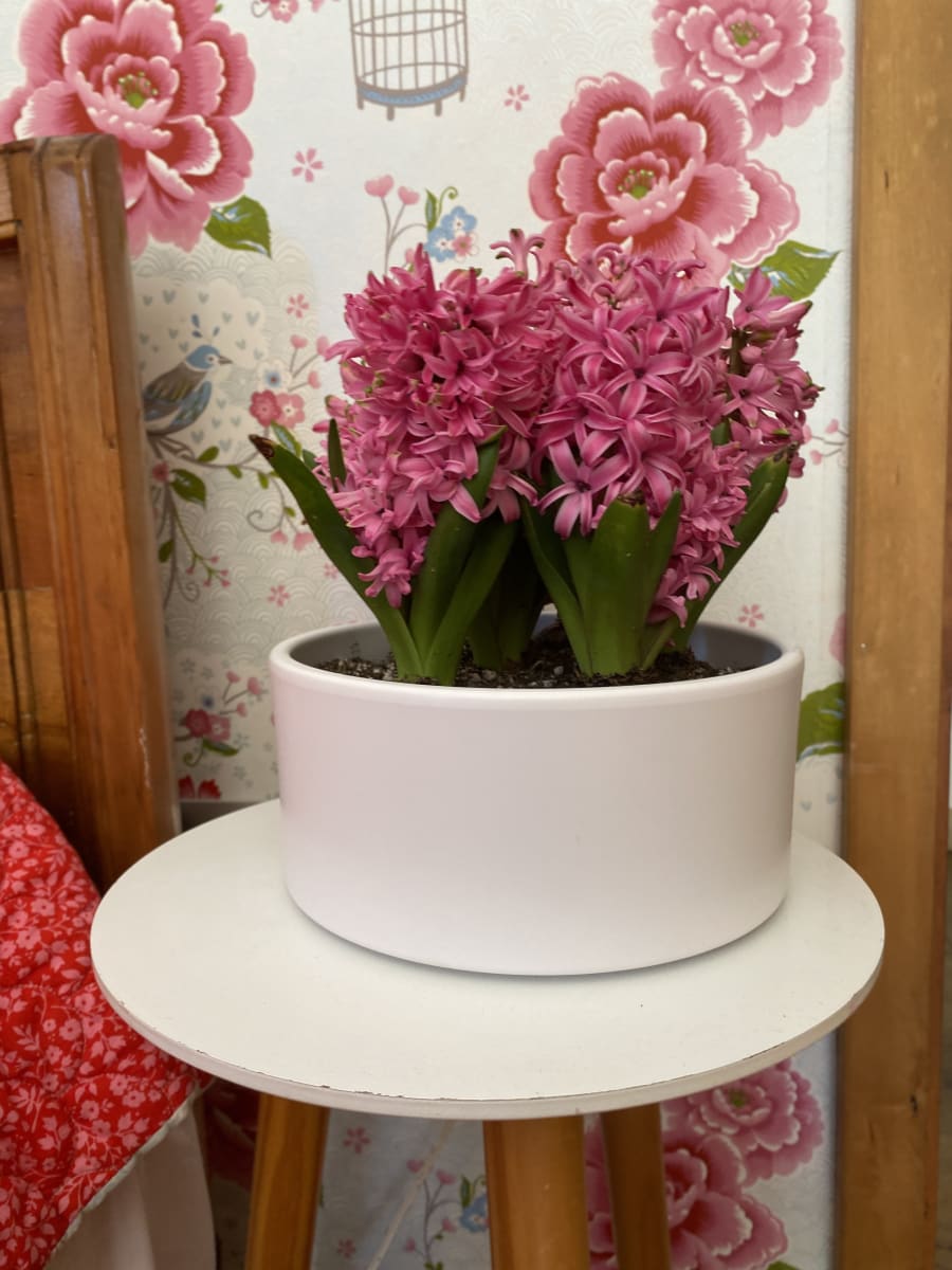 Cerámica mediana con jacintos11