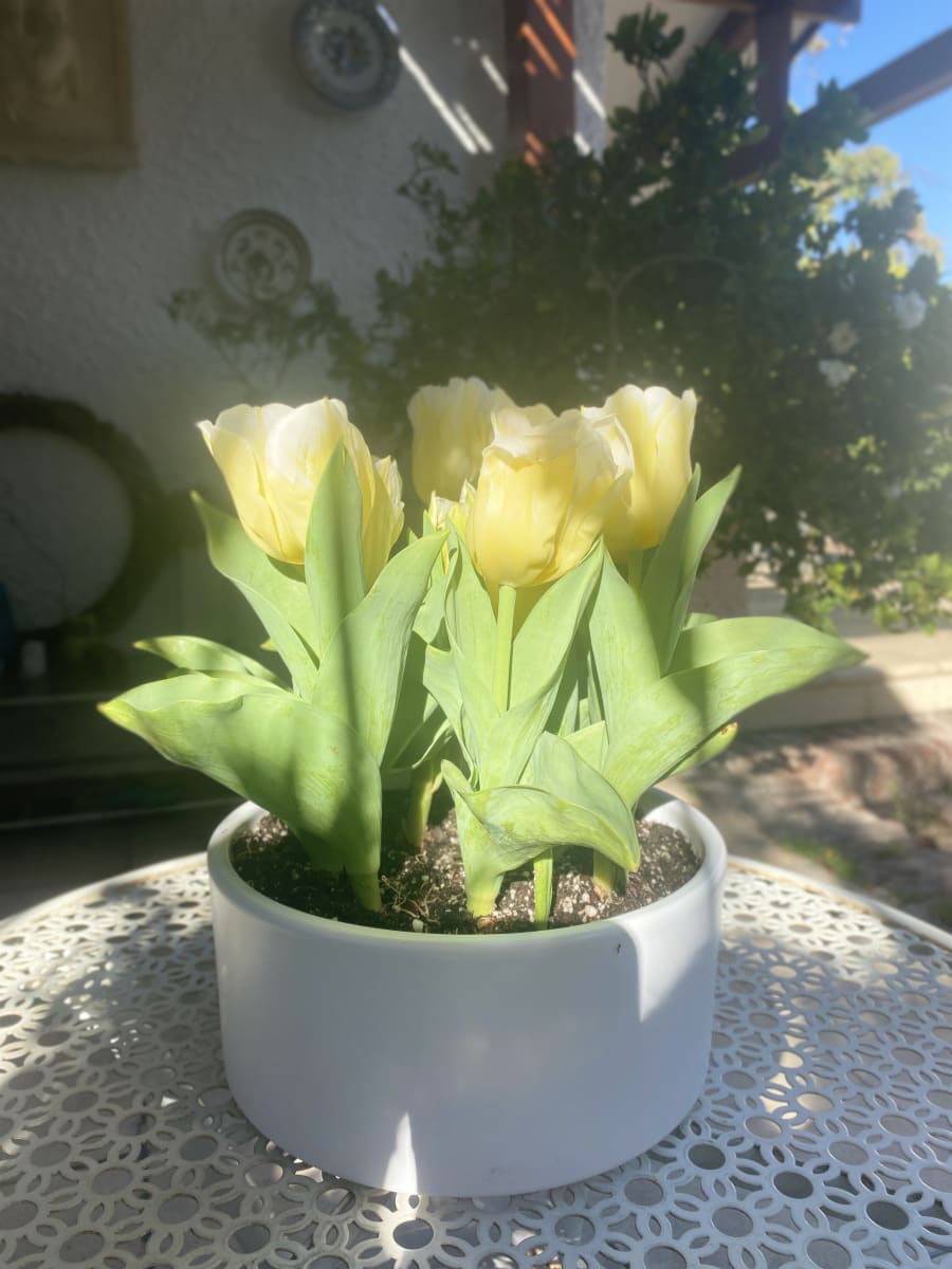 Cerámica Mediana Tulipán3