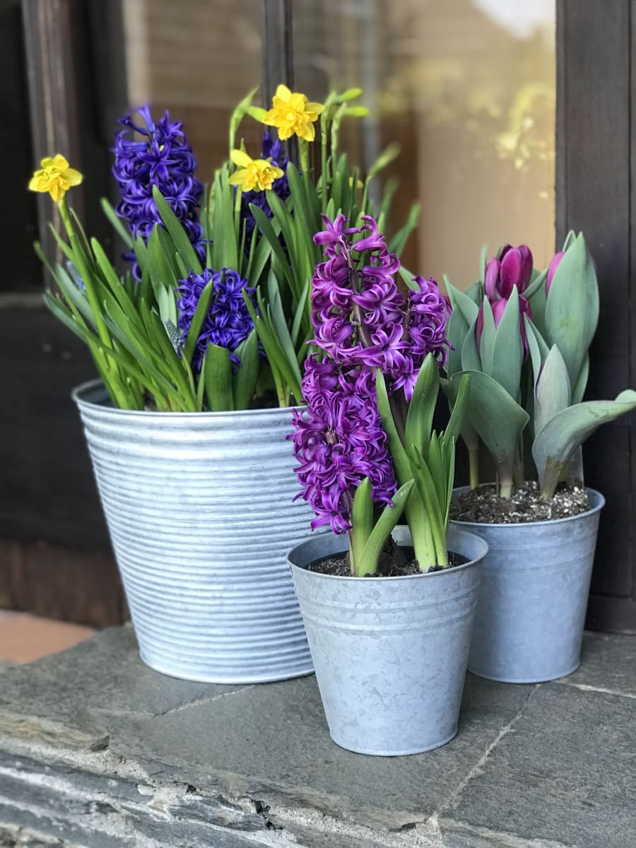 Laton grande mix flores3