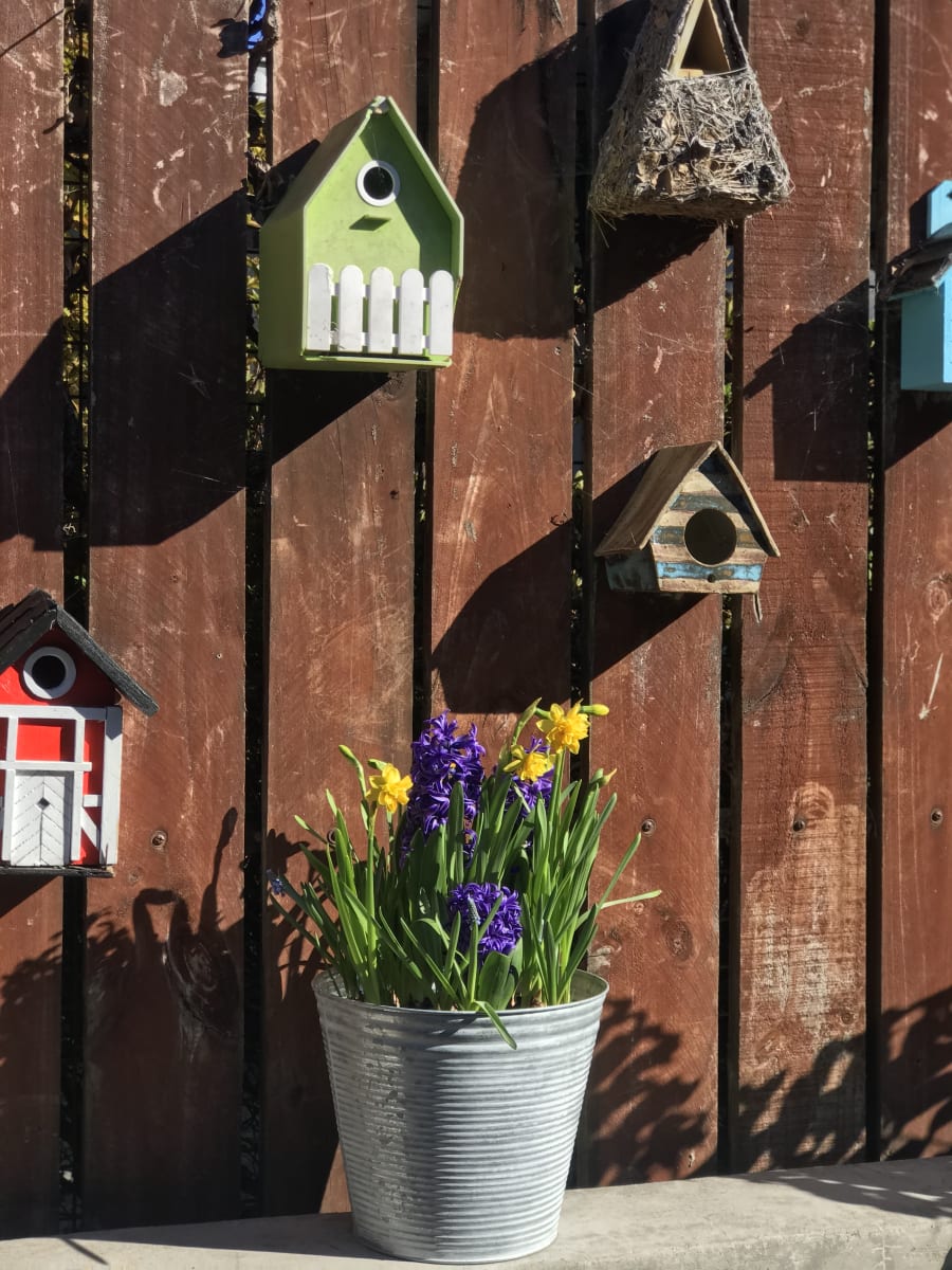 Laton grande mix flores4