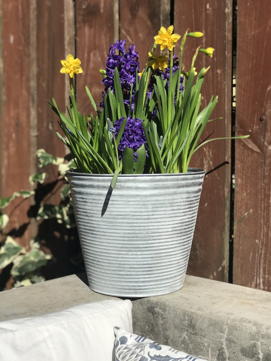 Laton grande mix flores5