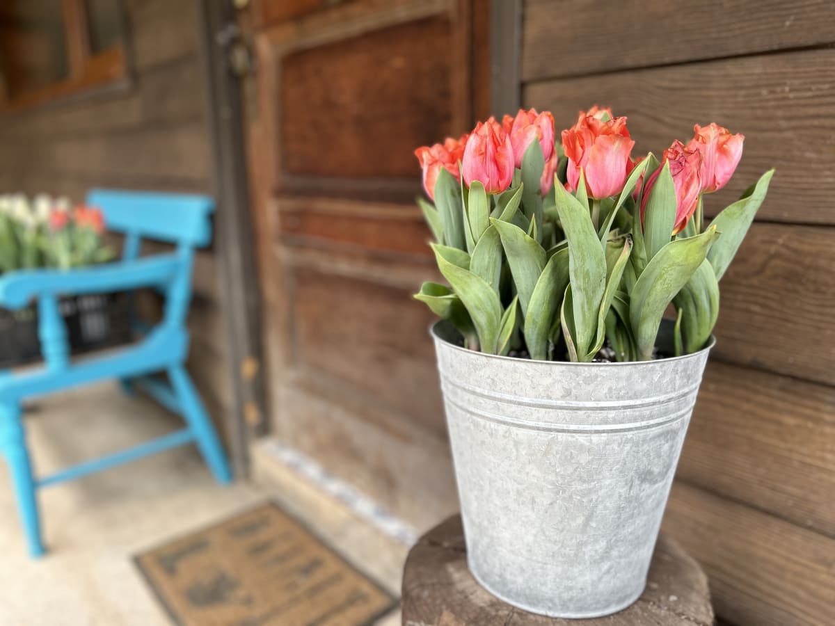 Laton grande con tulipanes18