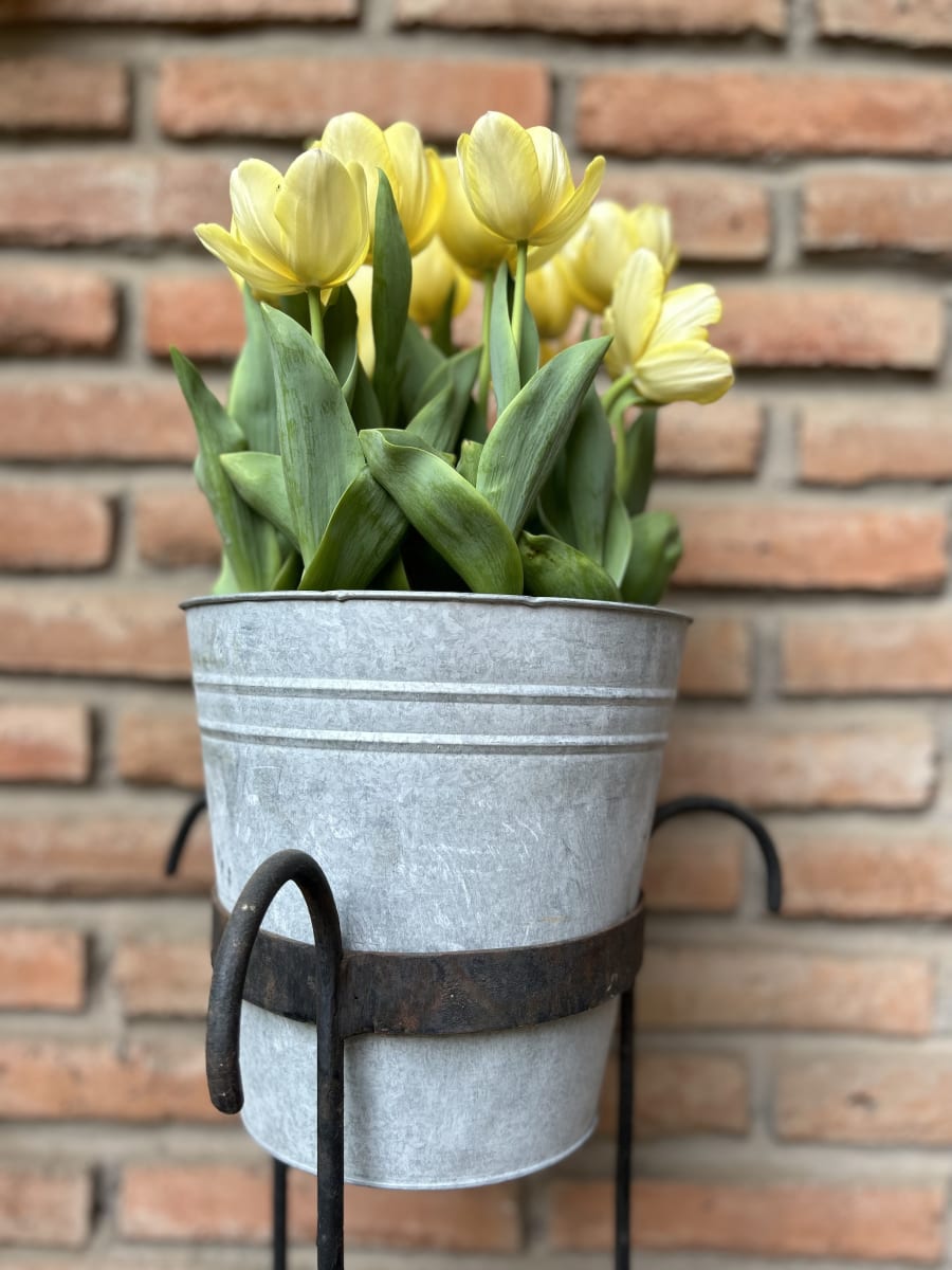 Laton grande con tulipanes17