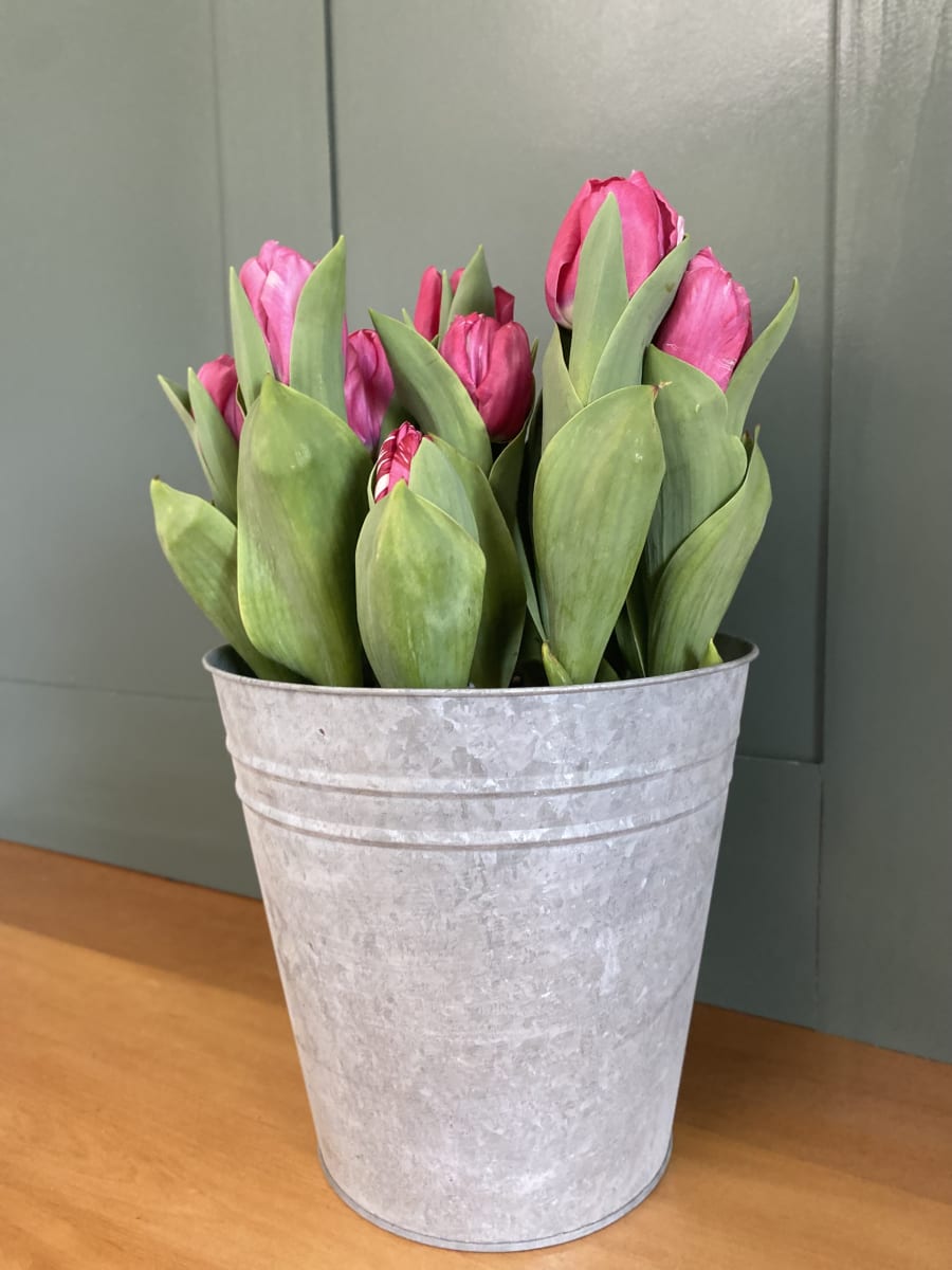 Laton grande con tulipanes20