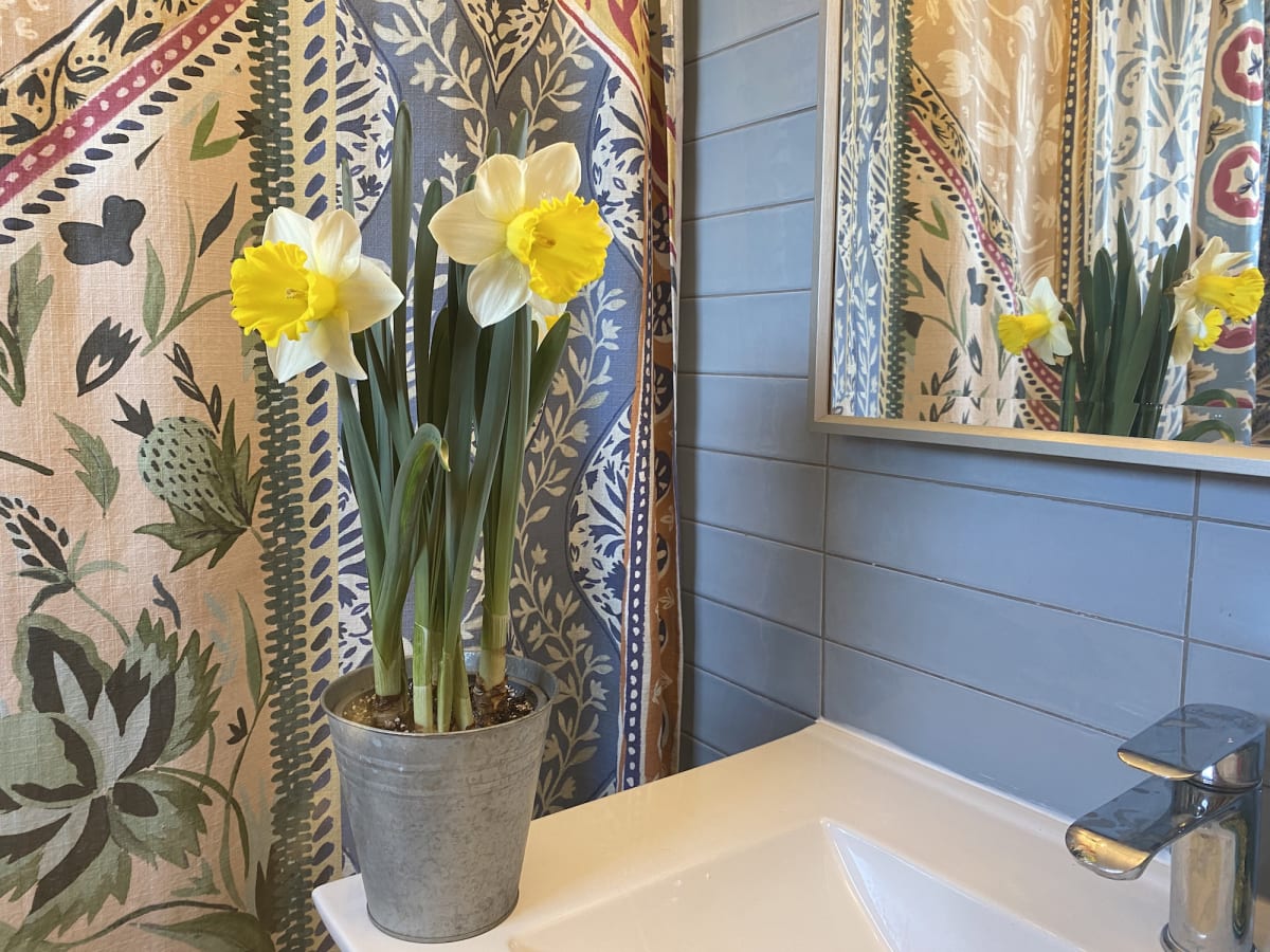 Narcisos en macetero de latón10