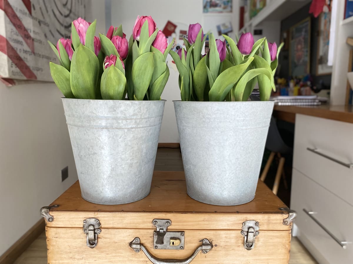 Laton grande con tulipanes19