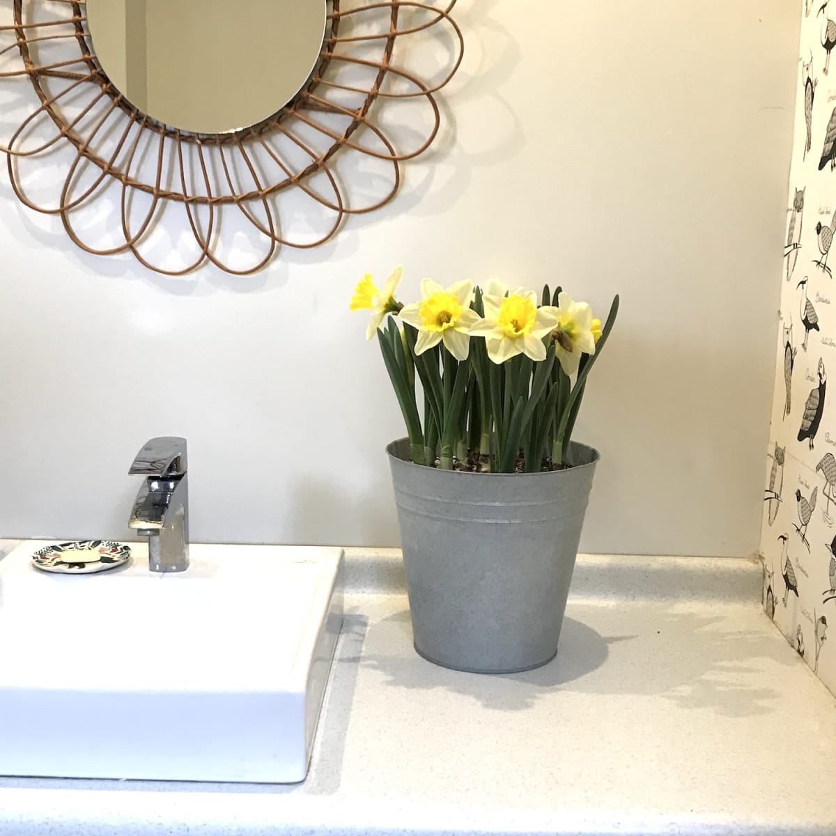 Latón grande con narcisos3