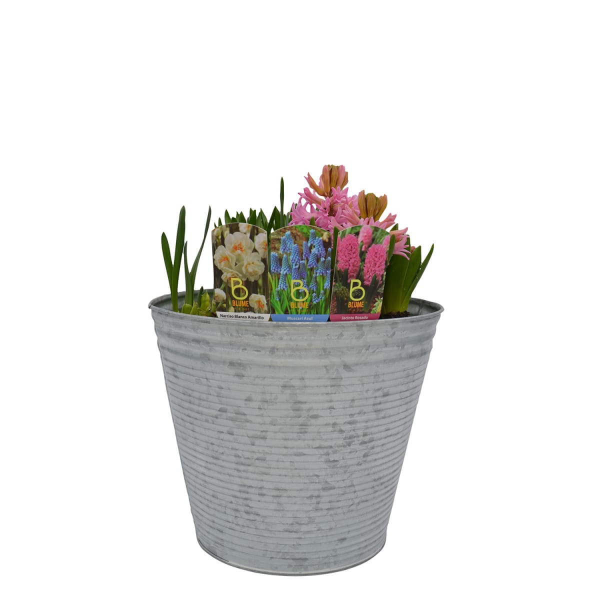 Laton grande mix flores2