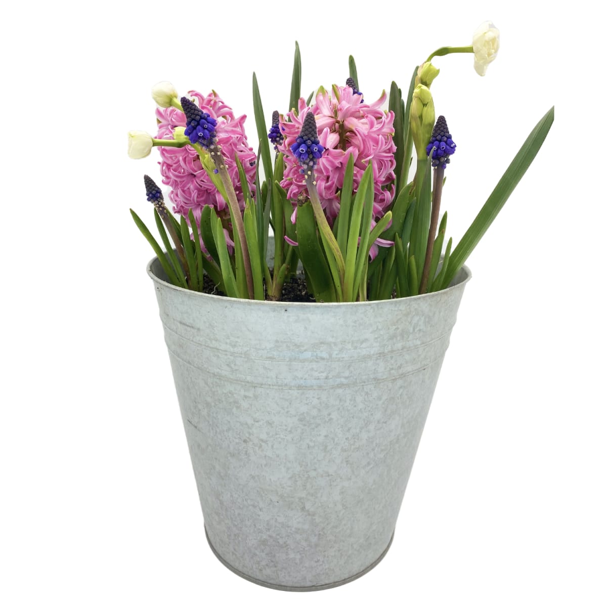 Laton grande mix flores7