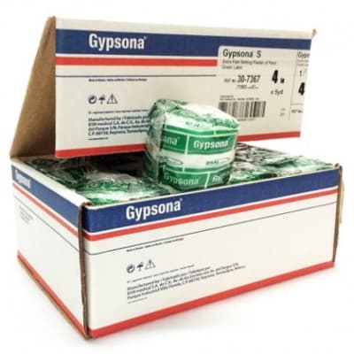 Gypsona1