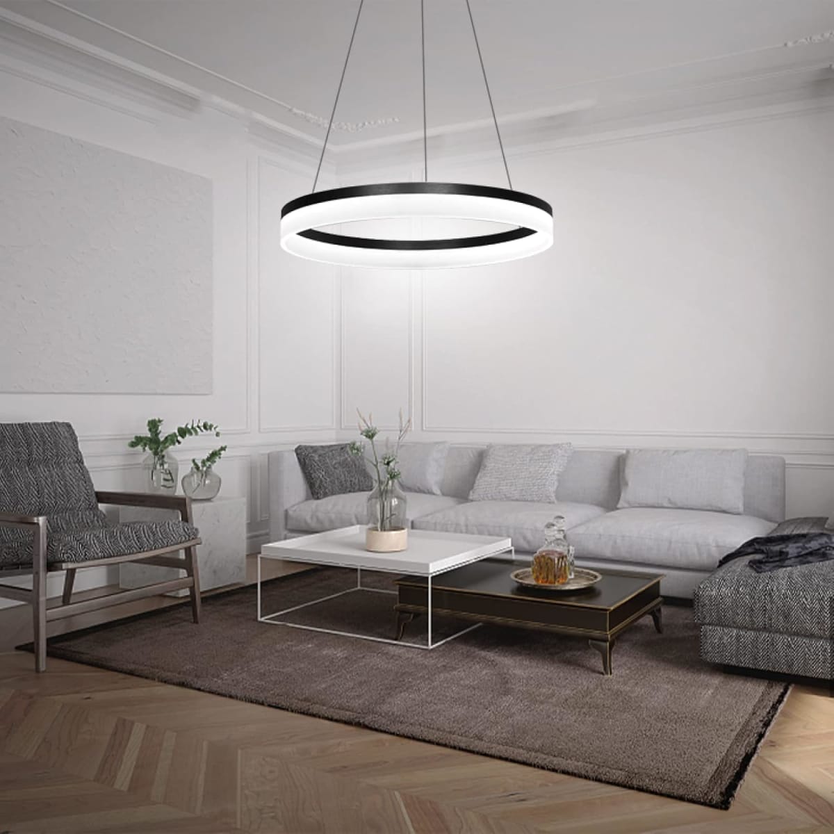 LÁMPARA COLGANTE RING LED2