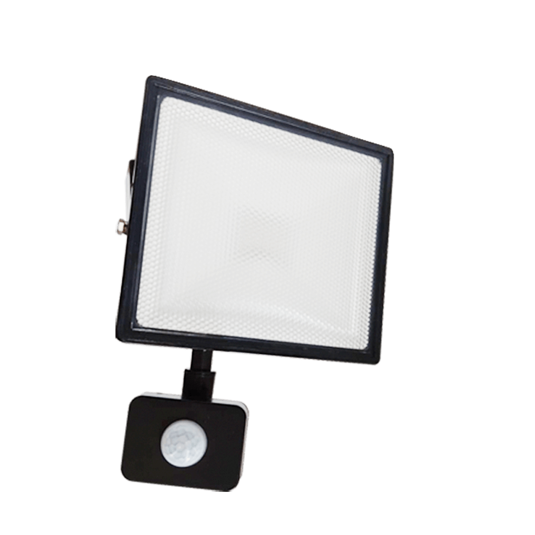 PROYECTOR EMPAVONADO2