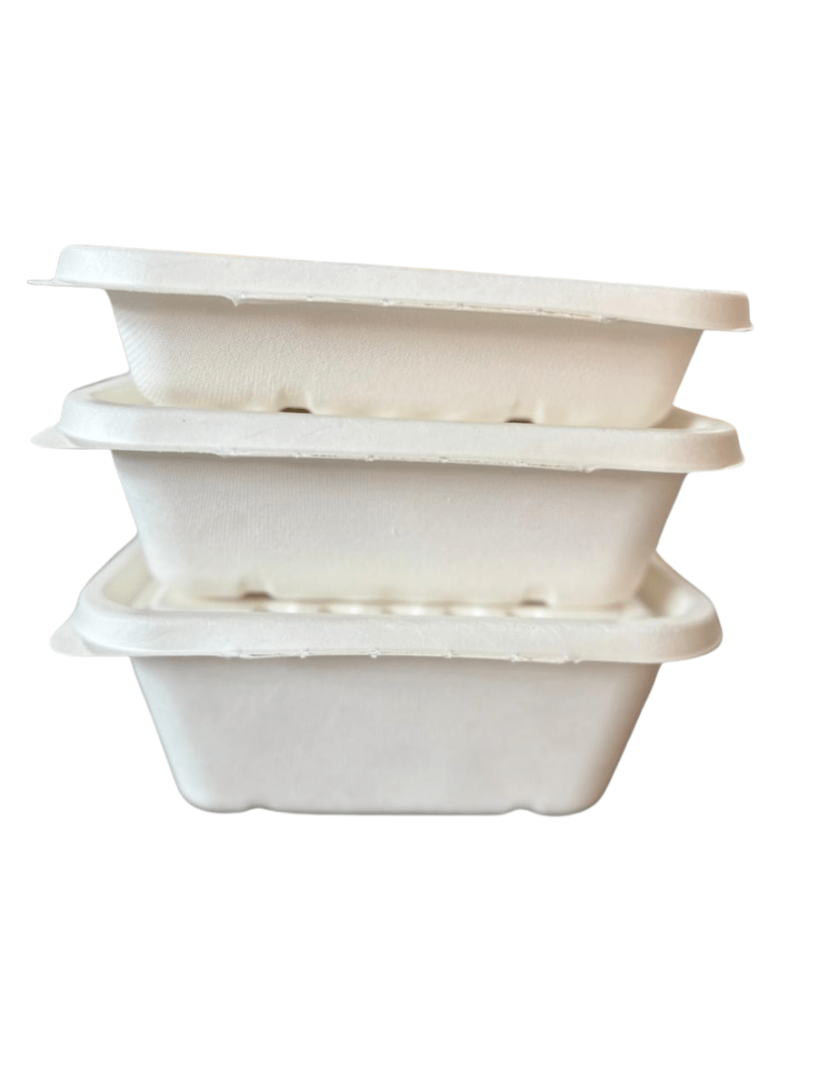 BASE BAGASSE 750 ML4