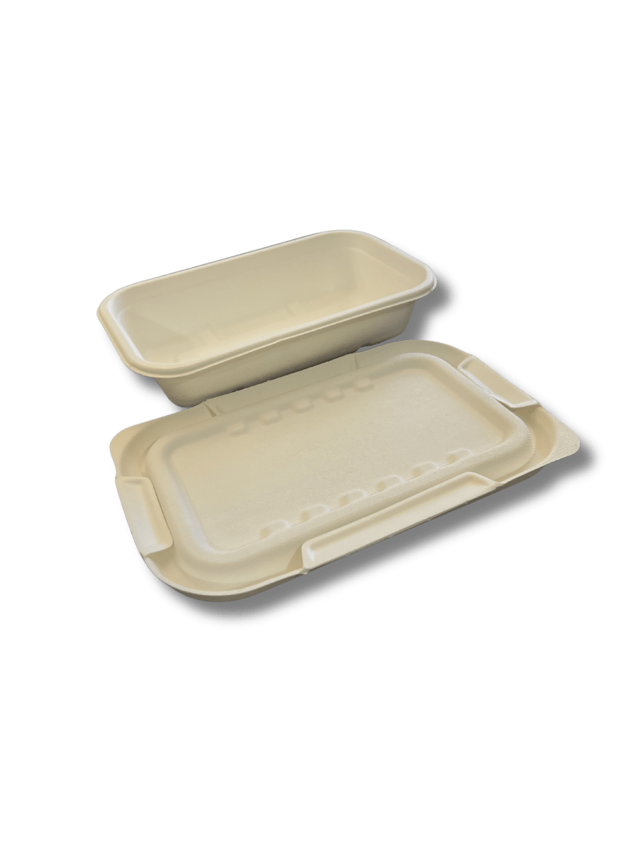 BASE BAGASSE 500 ML2