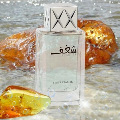 SHAGHAF BLUE 2.5 EDP U