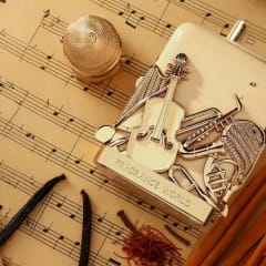 NOTES JAZZ BY FRAGRANCE WORLD 3.4oz/100ml EDP U