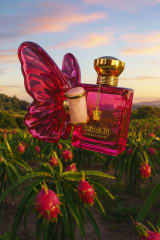 THE REBEL ONE BY ANARCHY 3.4oz/100ml EDP F
