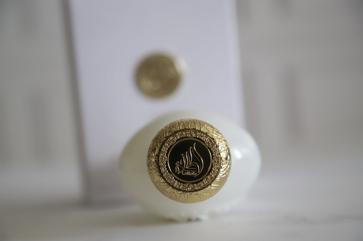 OPULENT MUSK F 3.4oz/100ml EDP1