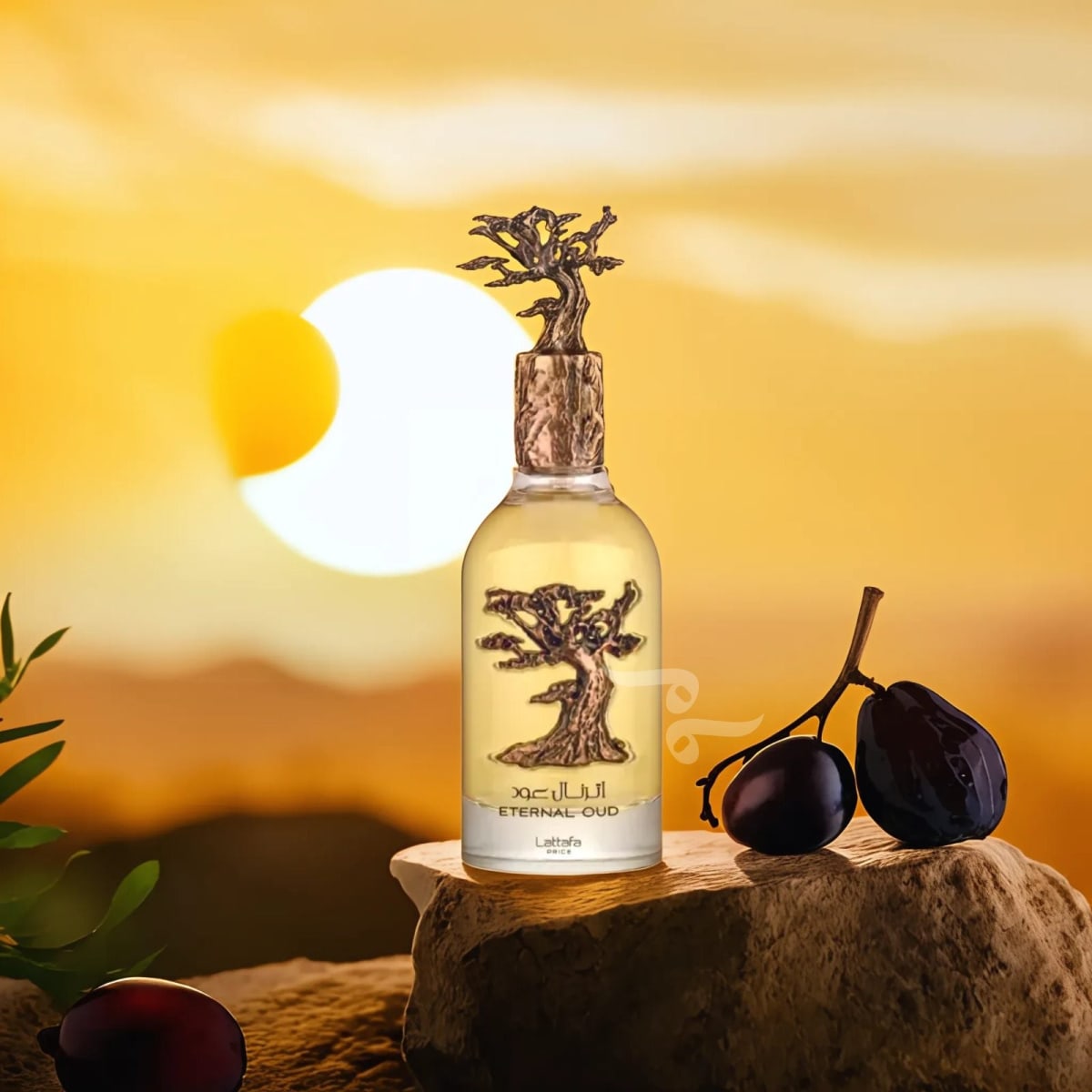 ETERNAL OUD 3.4oz/100ml5