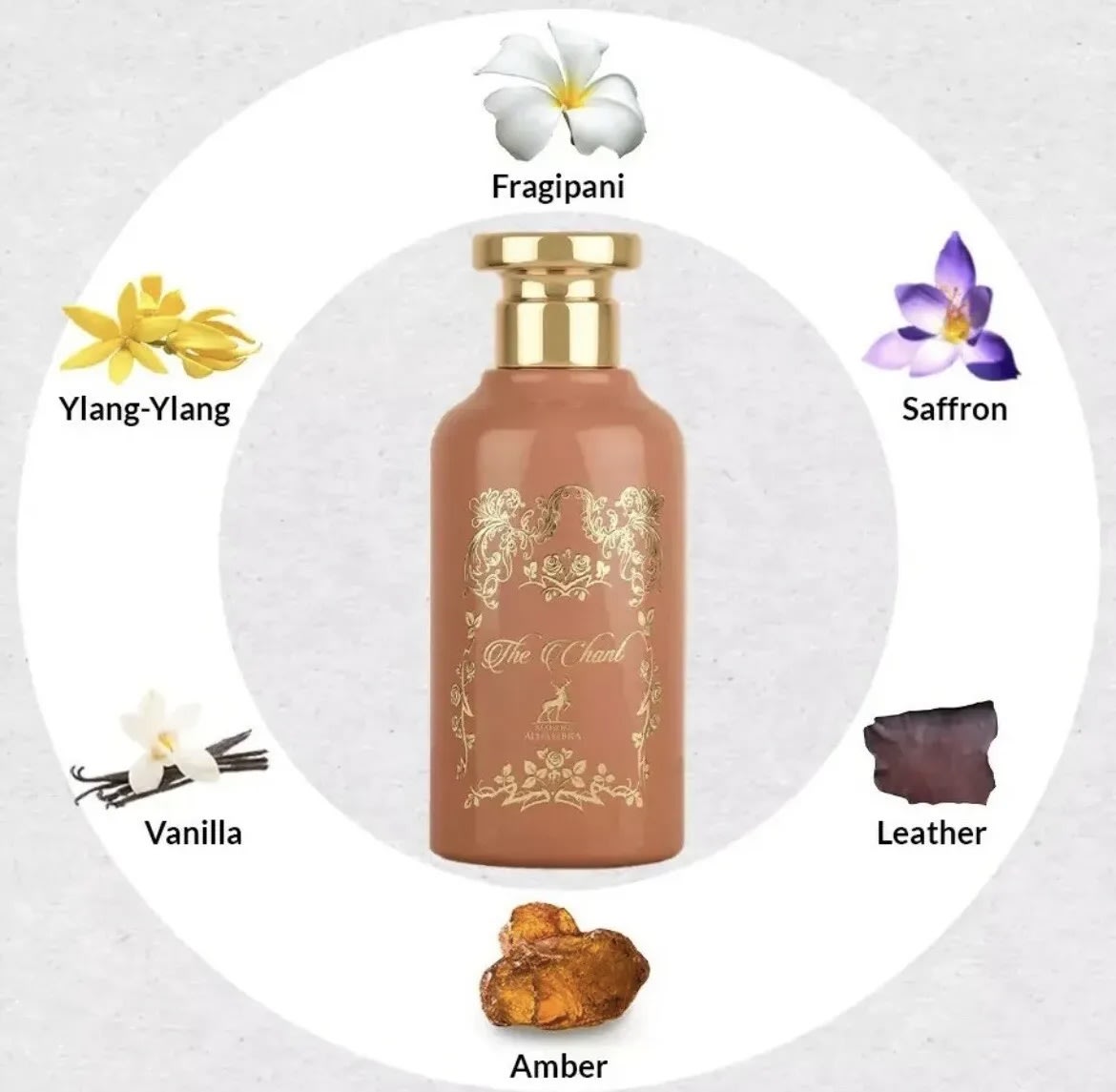 THE CHANT 3.4oz/100ML EDP F2