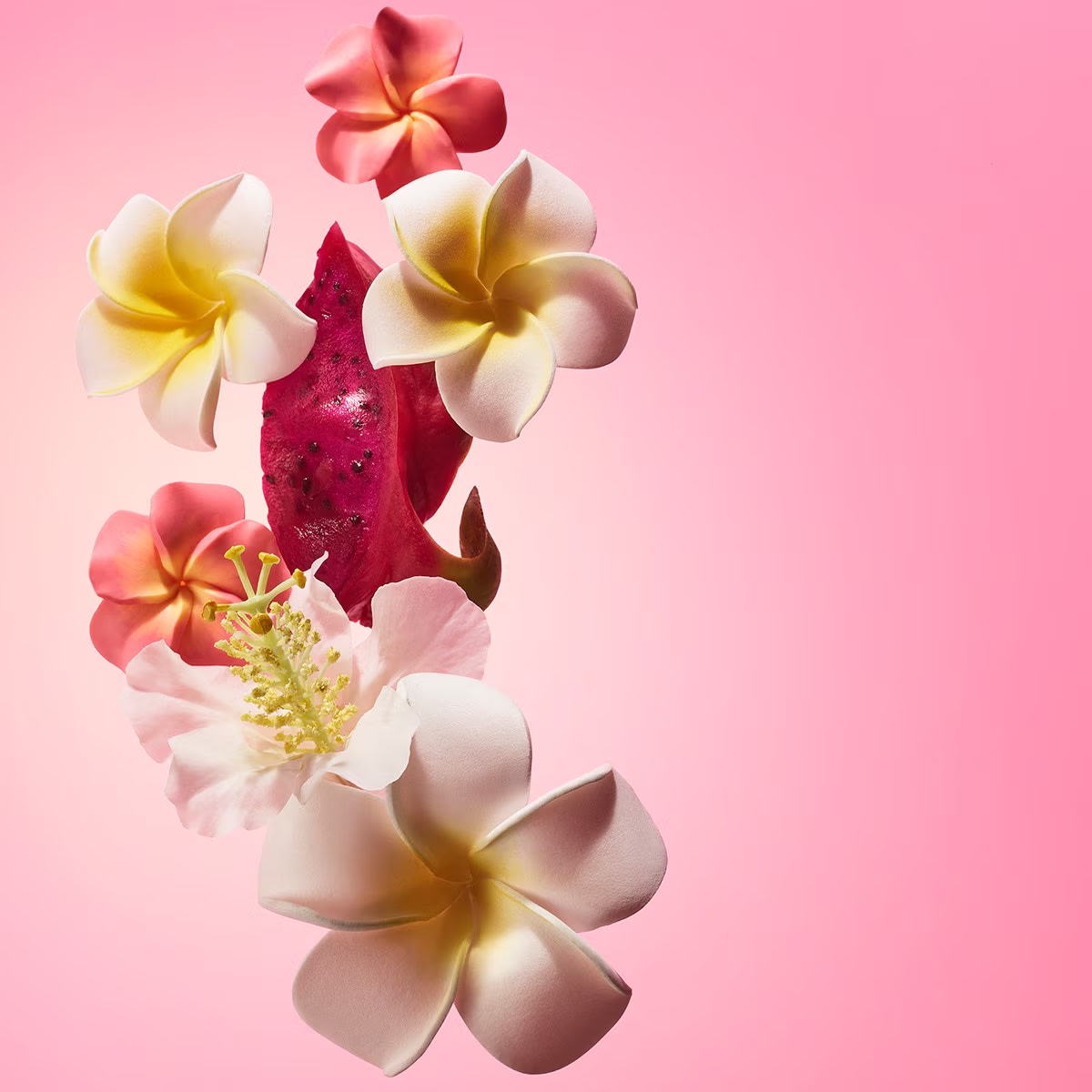 SDJ BEIJA FLOR ELASTI CREAM BALSAM 25ml3