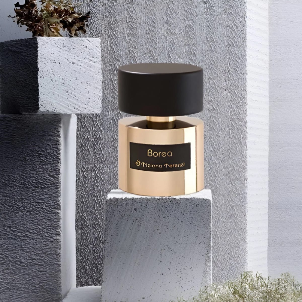 BOREA  3.4oz/100ml EXTRAIT2