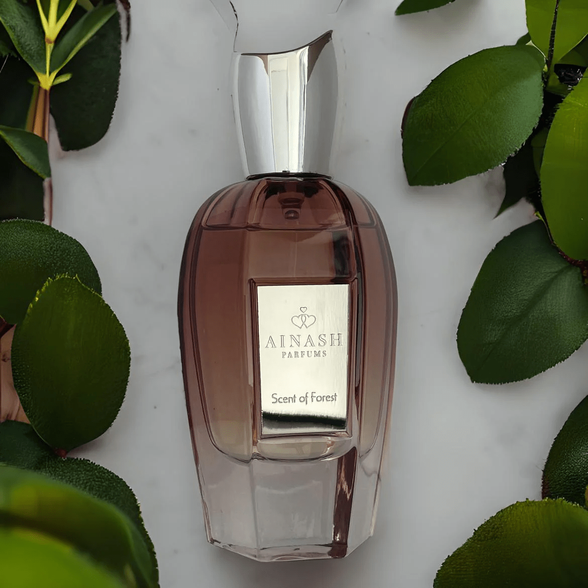 SCENT OF FOREST BY AINASH 2.5oz / 75ML EXTRAIT U1