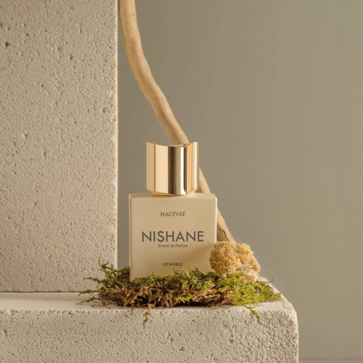 HACIVAT EXTRAIT DE PARFUM BY NISHANE2
