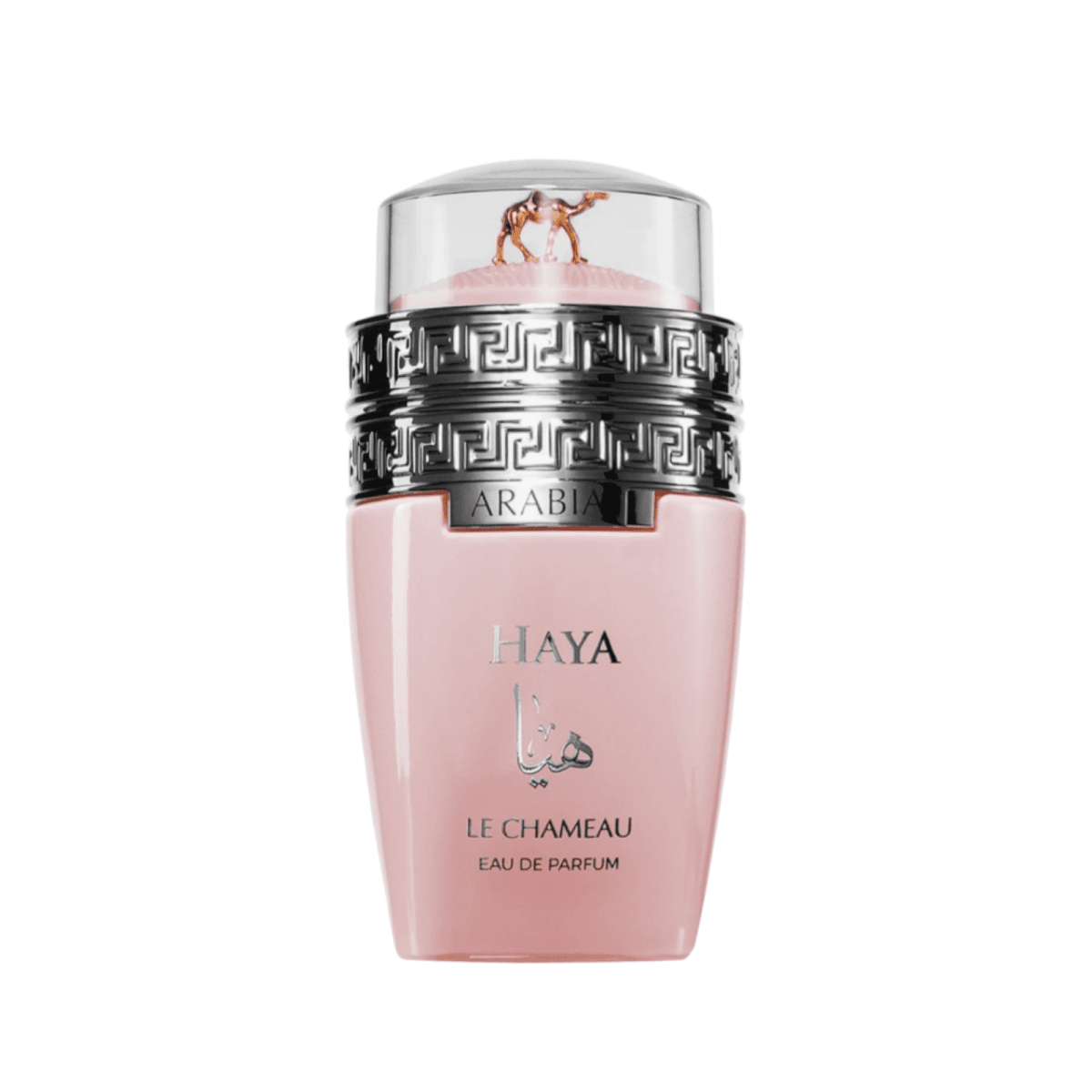 ARABIA HAYA BY EMPER 3.4oz / 100ML EDP F2