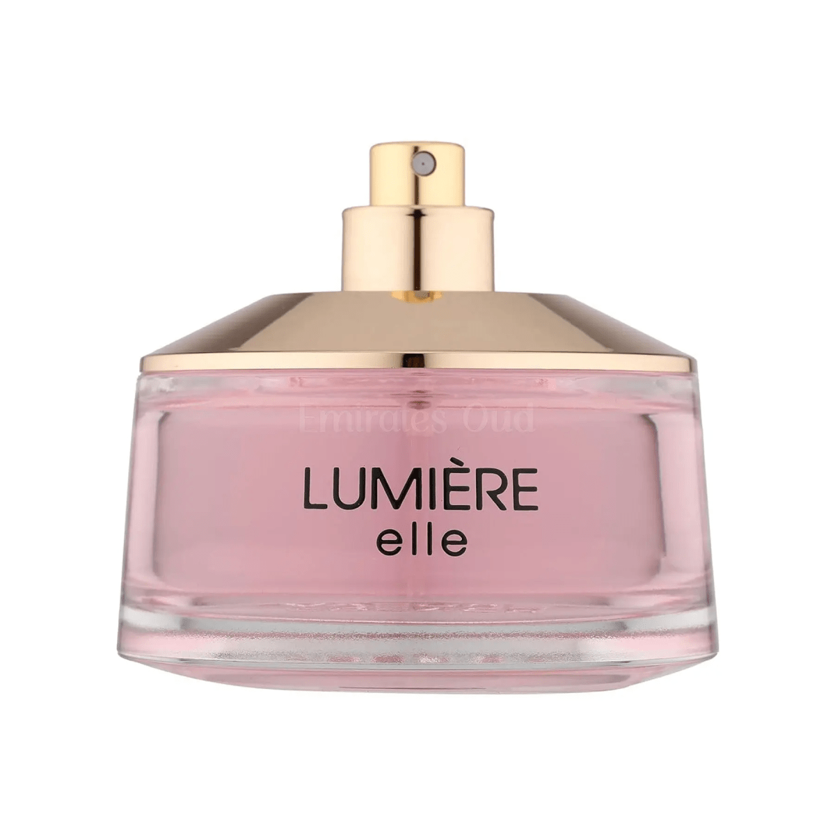 LUMIERE ELLE BY FRAGANCE WORLD 3.4oz/100ml EDP U3