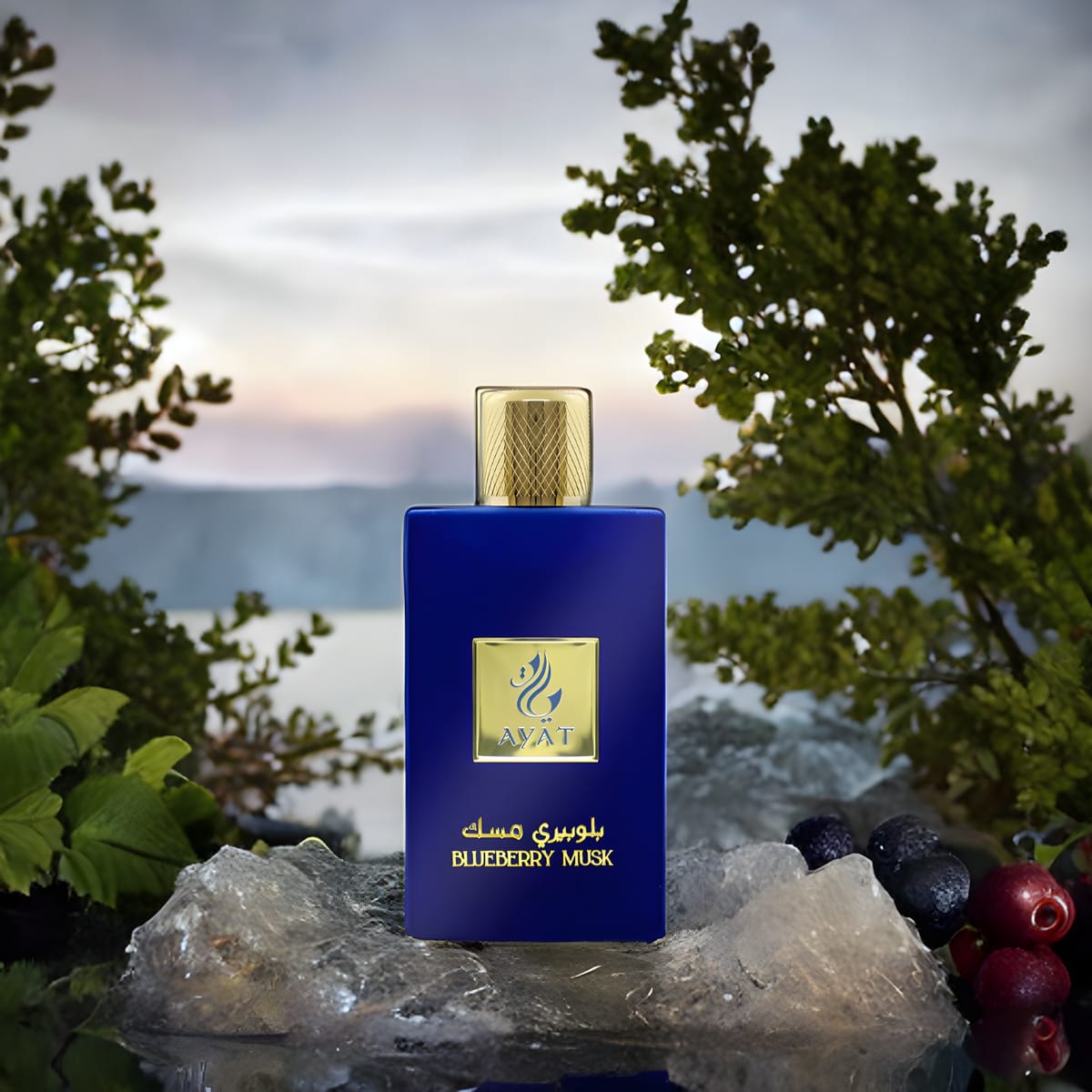 BLUEBERRY MUSK F 3.4oz/100ml EDP4