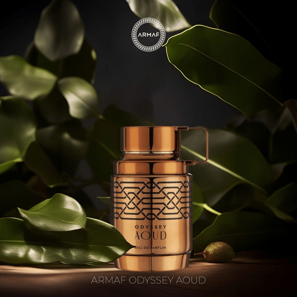 ODYSSEY AOUD BY ARMAF 3.4oz/100ml EDP M1