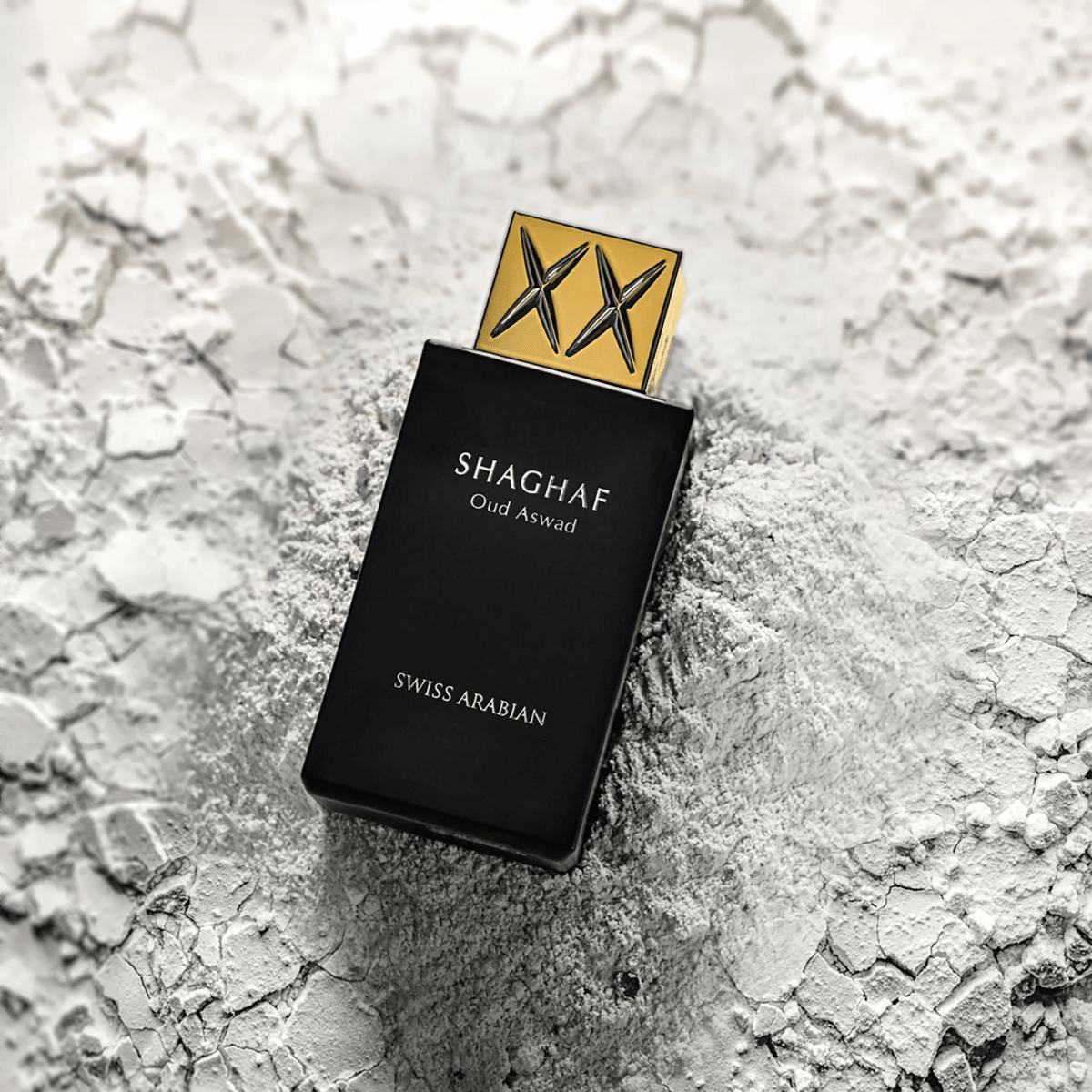 SHAGHAF OUD ASWAD U 3.4oz/100ml EDP1