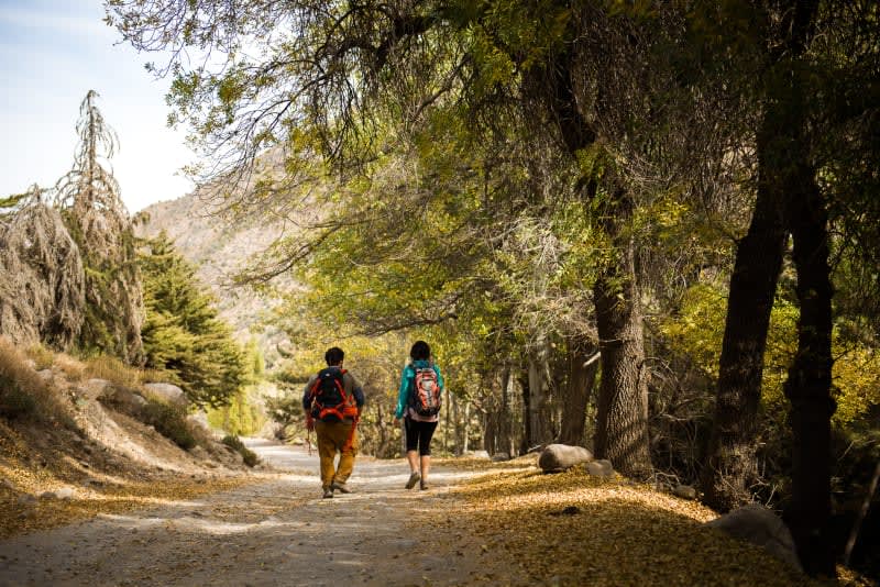 Entrada Diaria / Camping