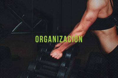 organizacion organizacion
