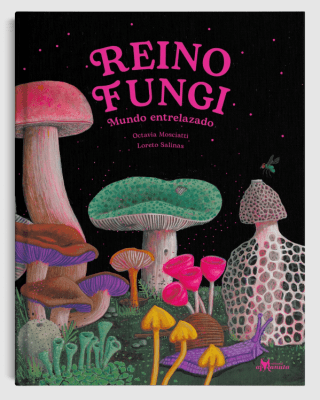 Reino fungi