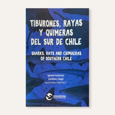 Tiburones, rayas y quimeras del sur de chile