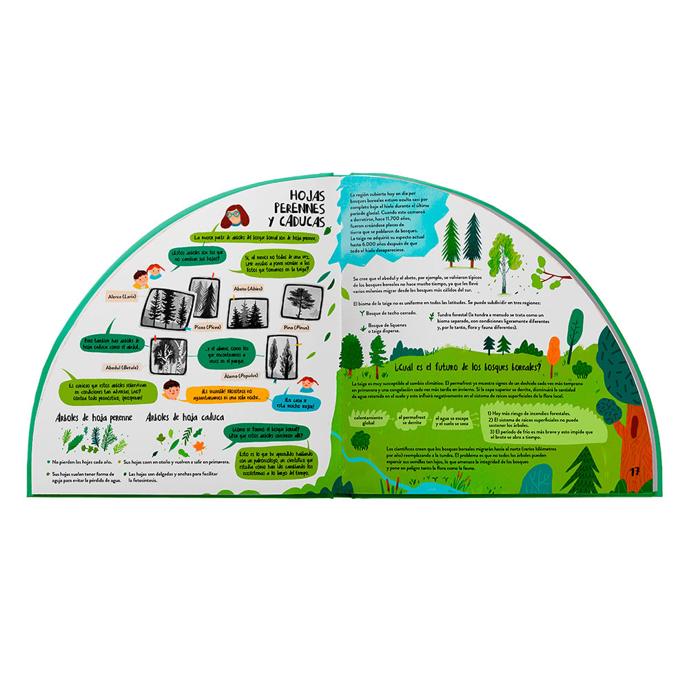 Explora los bosques en 360º2