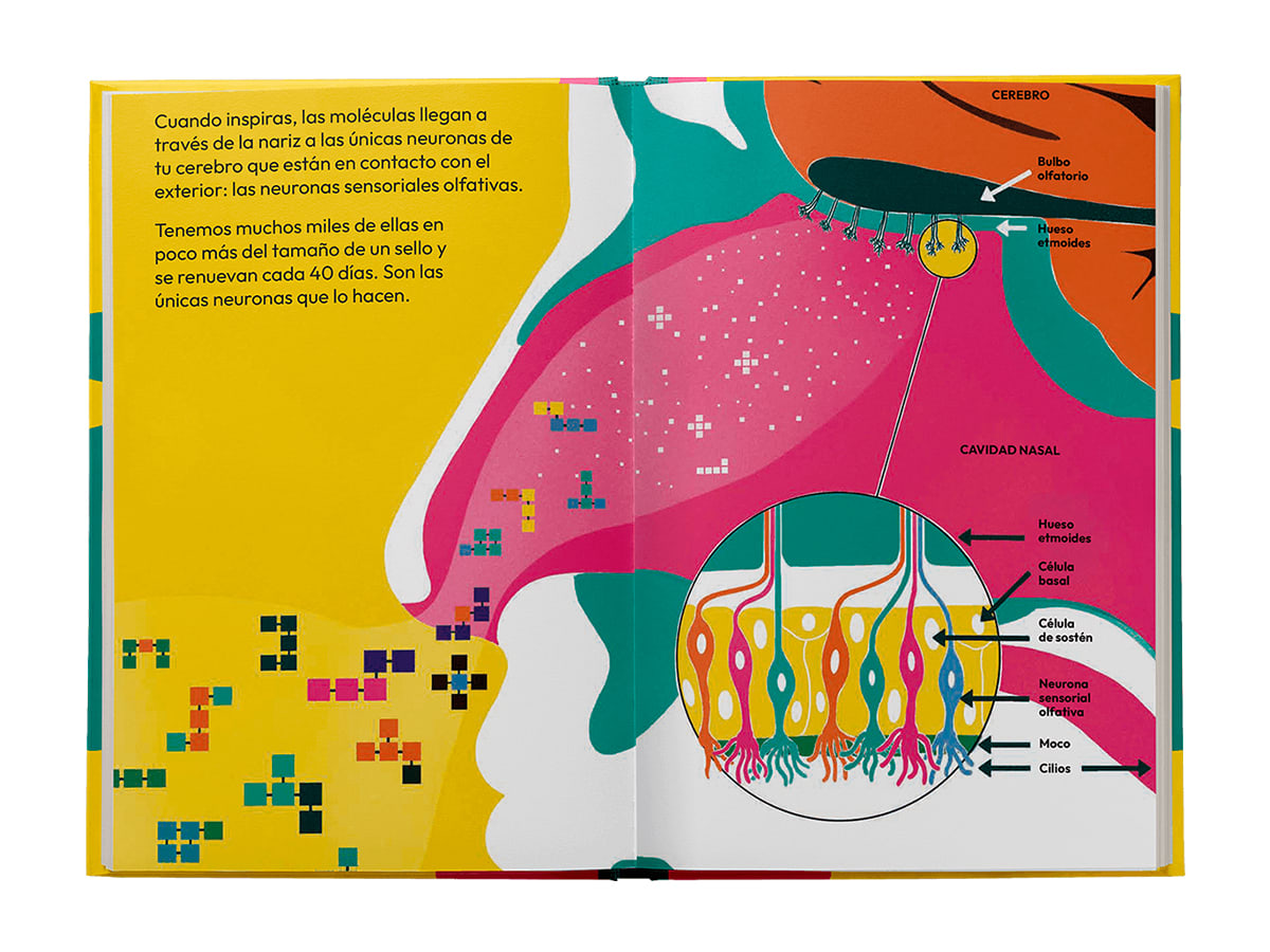 Oler. Aromas, esencias, hedores y pestilencias2